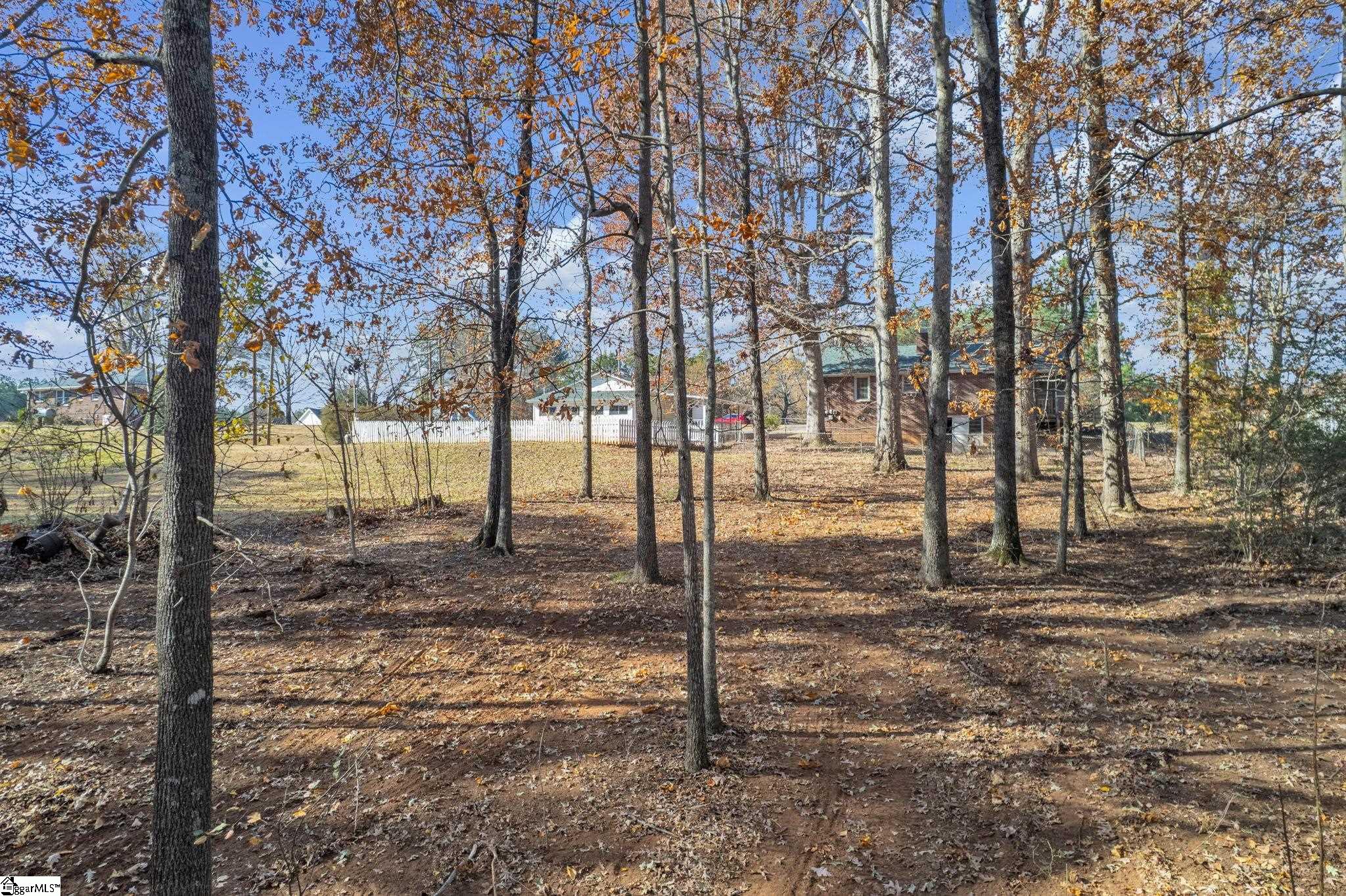2417 East Tyger Bridge Road Greer, SC 29651 - Photo 25 of 32