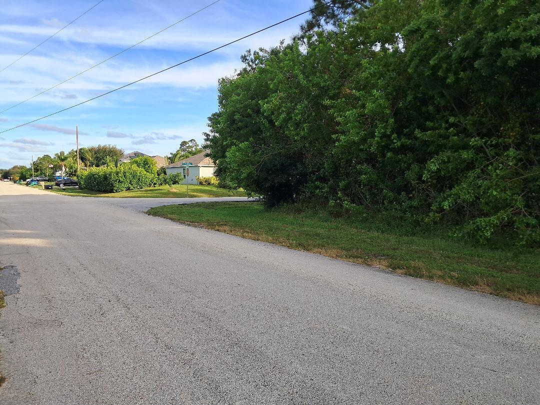 a view of a field with a trees in the background