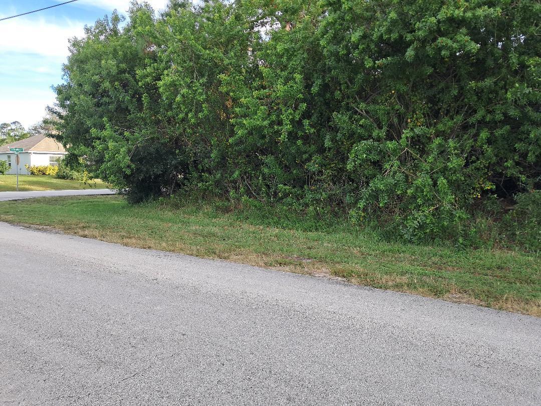 360 Southwest Undallo Road Port St. Lucie, FL 34953 - Photo 2 of 4 a view of a yard with a tree