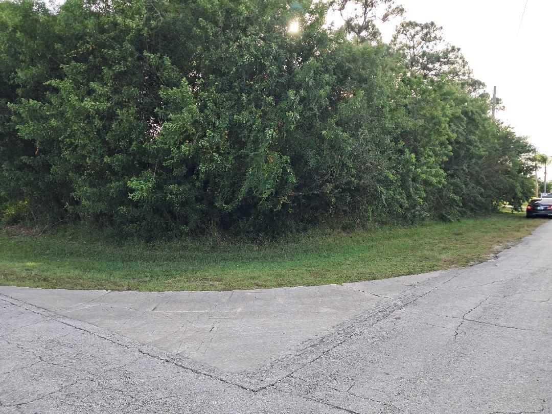 360 Southwest Undallo Road Port St. Lucie, FL 34953 - Photo 4 of 4 a view of a park