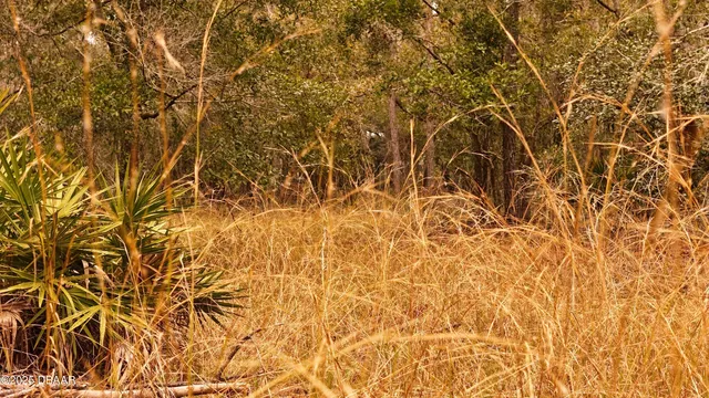 $305,000 | 95 Pinto Lane, Ormond Beach, FL 32174