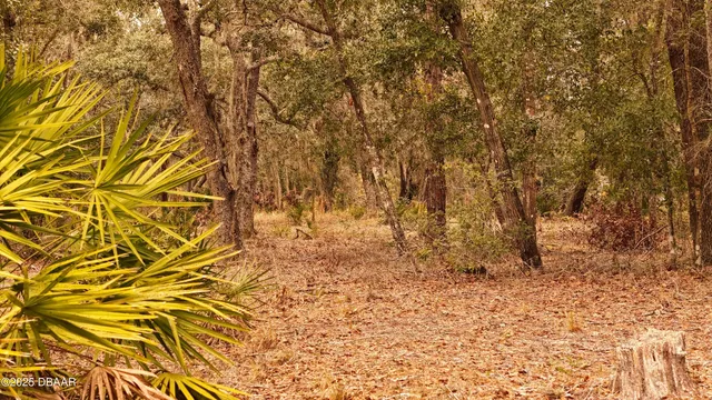 $305,000 | 95 Pinto Lane, Ormond Beach, FL 32174