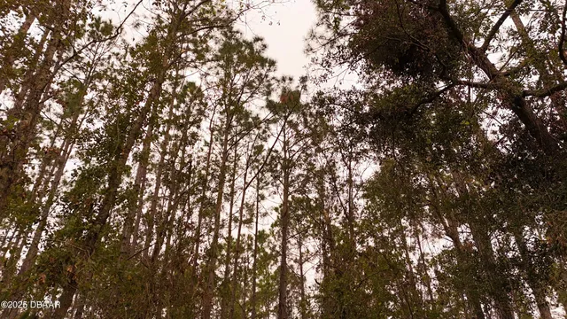 $305,000 | 95 Pinto Lane, Ormond Beach, FL 32174