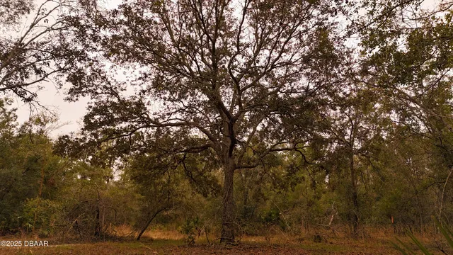 $305,000 | 95 Pinto Lane, Ormond Beach, FL 32174