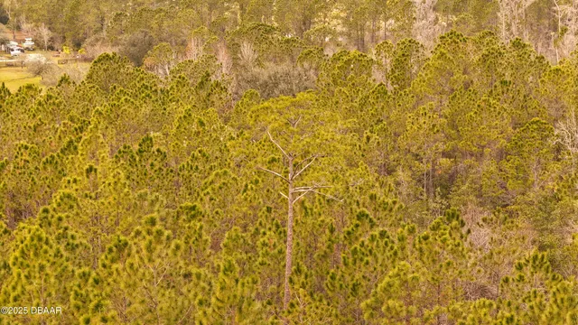 $305,000 | 95 Pinto Lane, Ormond Beach, FL 32174