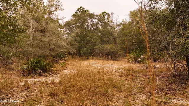 $305,000 | 95 Pinto Lane, Ormond Beach, FL 32174