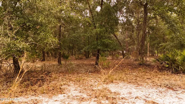 $305,000 | 95 Pinto Lane, Ormond Beach, FL 32174