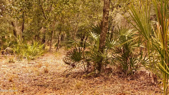 $305,000 | 95 Pinto Lane, Ormond Beach, FL 32174