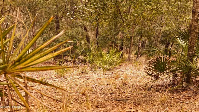 $305,000 | 95 Pinto Lane, Ormond Beach, FL 32174