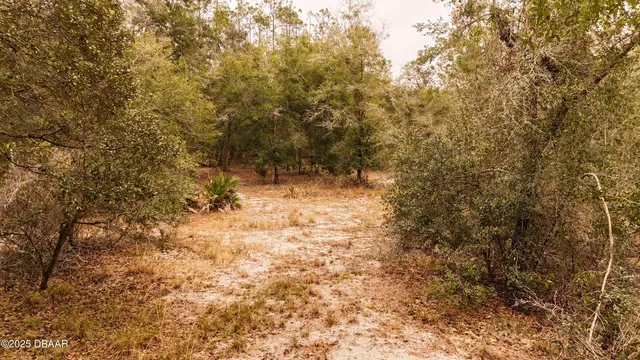 $305,000 | 95 Pinto Lane, Ormond Beach, FL 32174