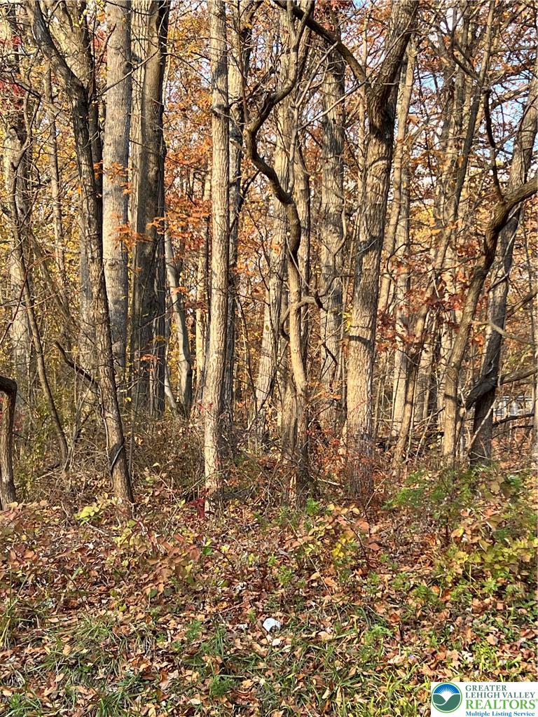 Shooktown Road Bangor, PA 18013 - Photo 5 of 11