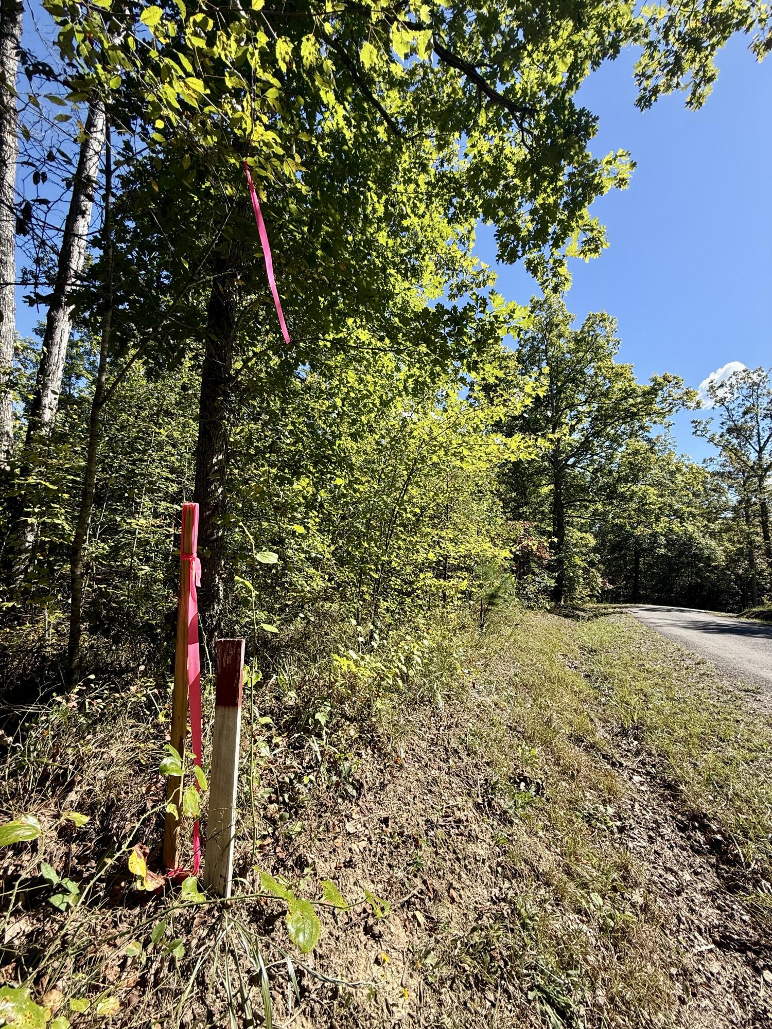 0 Owl Hollow Road, Unit LOT 1 Palmer, TN 37365 - Photo 2 of 10 IMG_2438