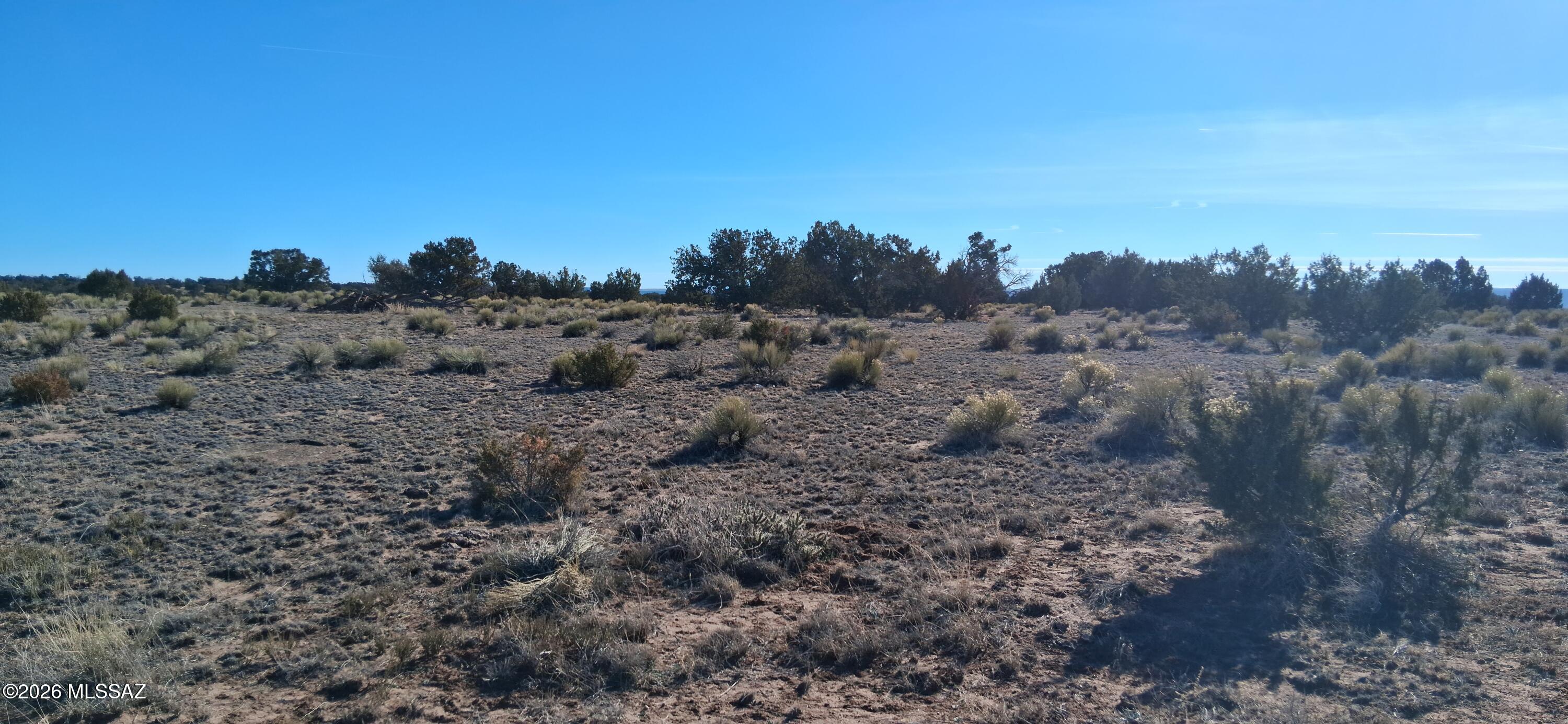 24 County Road, Unit 857 St. Johns, AZ 85936 - Photo 5 of 22