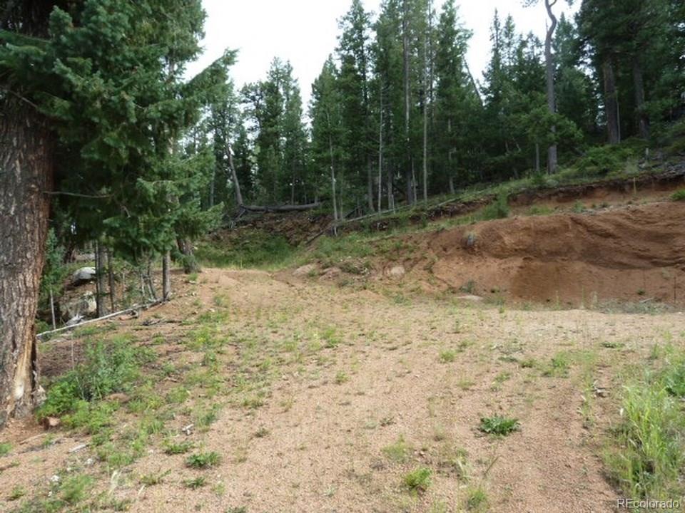 33872 Nova Road Pine, CO 80470 - Photo 3 of 5 Gallery Image 3