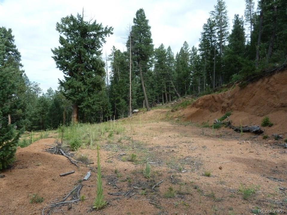 33872 Nova Road Pine, CO 80470 - Photo 4 of 5 Gallery Image 4
