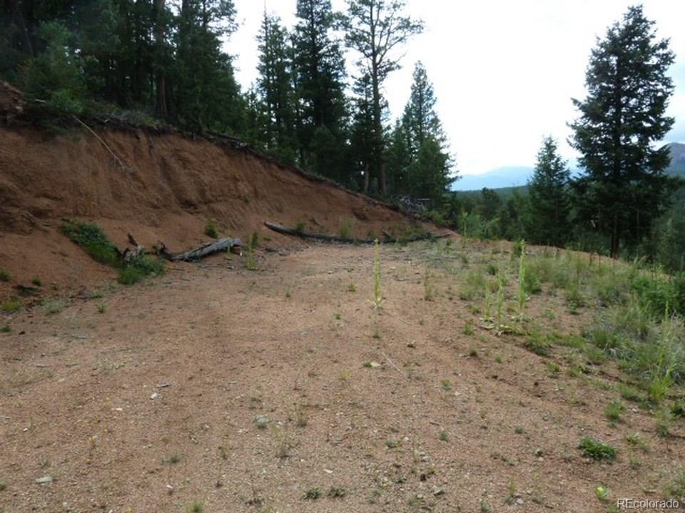 33872 Nova Road Pine, CO 80470 - Photo 5 of 5 Gallery Image 5