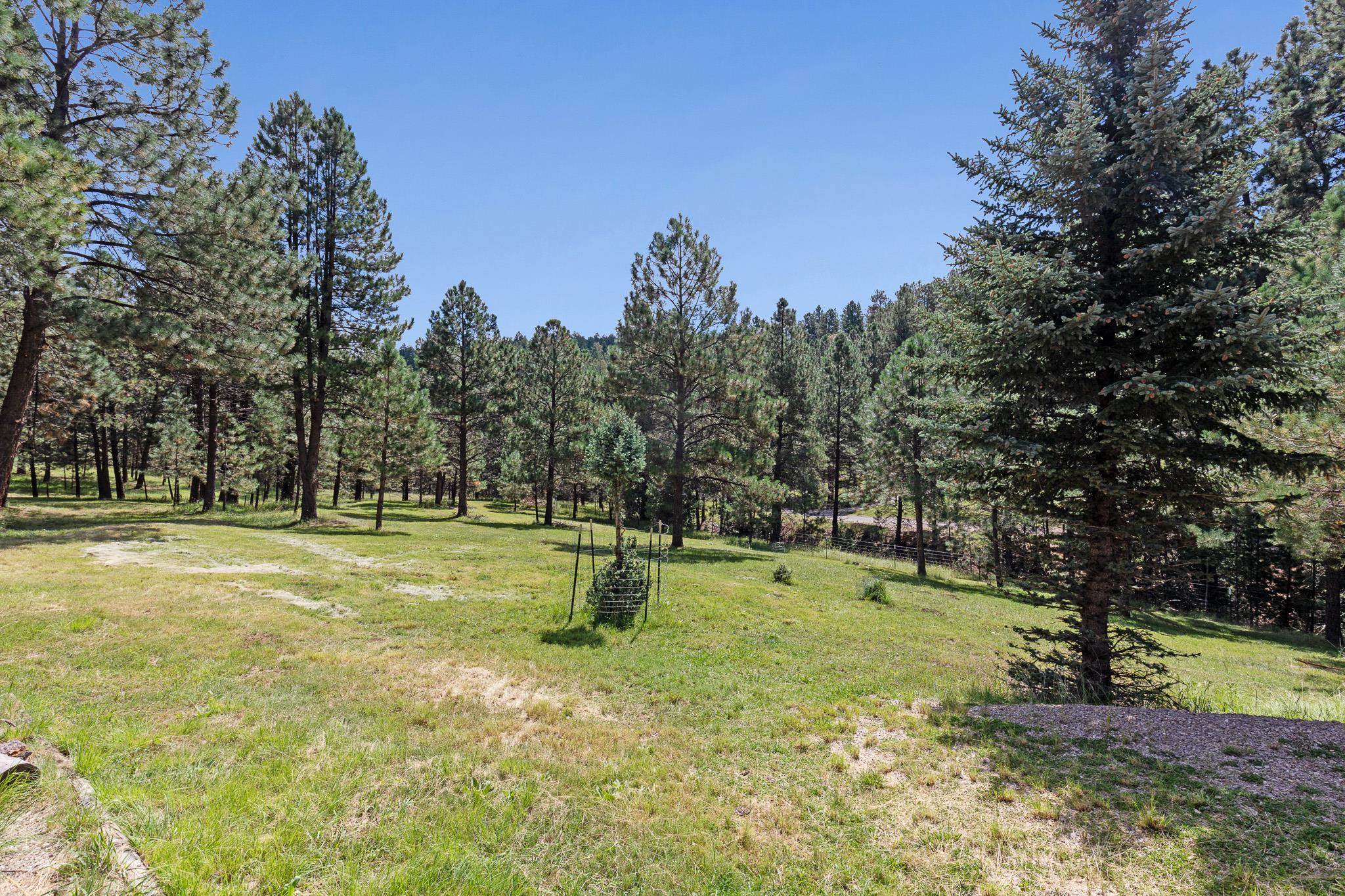 3 Allen A Dale Road Mayhill, NM 88339 - Photo 51 of 83 Gallery Image 51