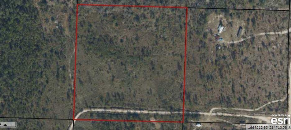 Tbd Rigsby Lane Fountain, FL 32438 - Photo 6 of 34 Gallery Image 6