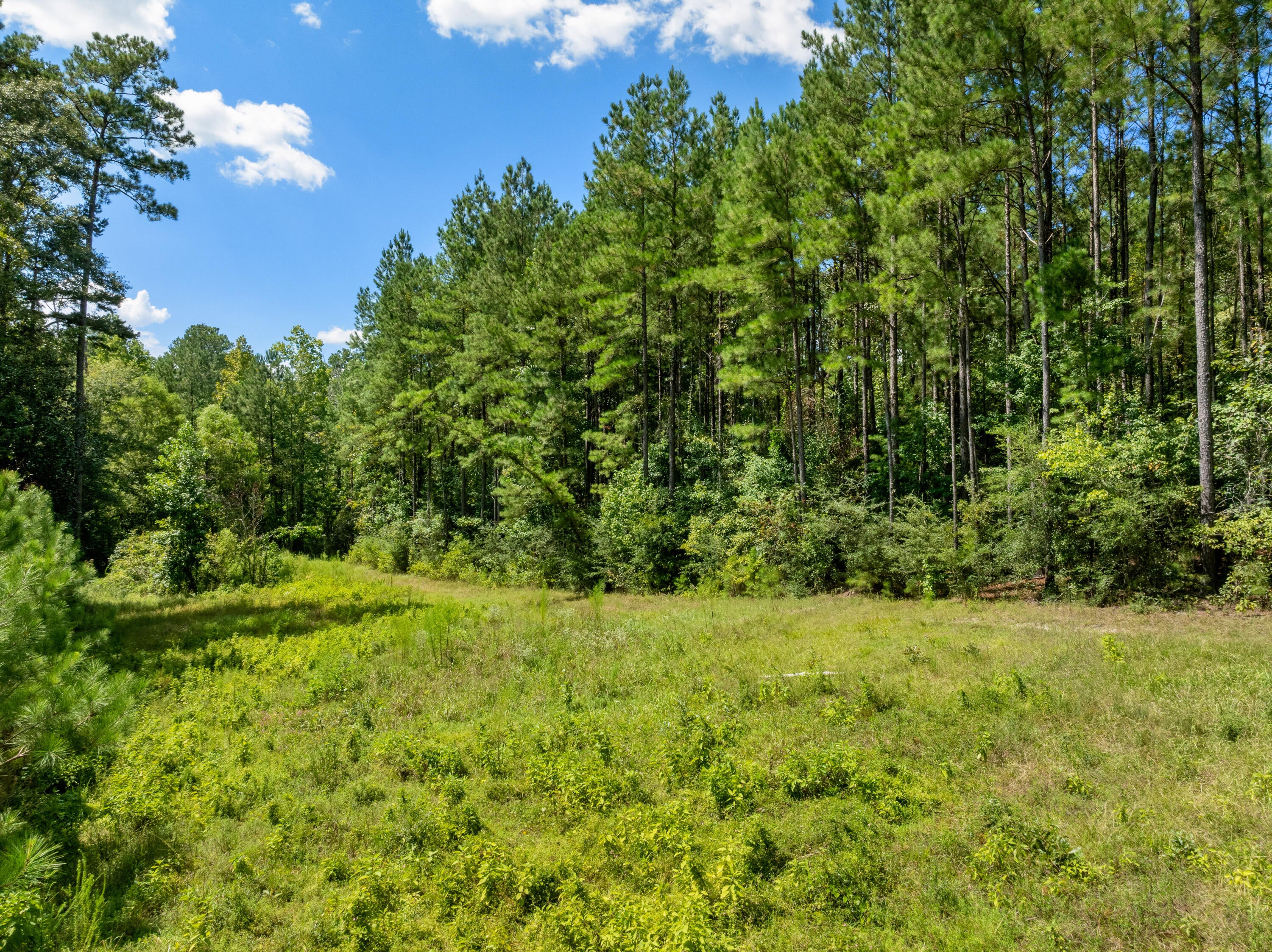 278 Big Hill Road Sumrall, MS 39482 - Photo 82 of 86 Gallery Image 82