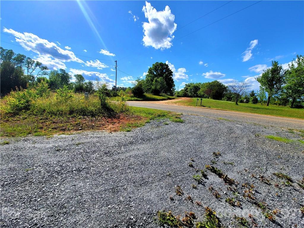 700 Will Green Road Tryon, NC 28782 - Photo 11 of 13 a view of a backyard