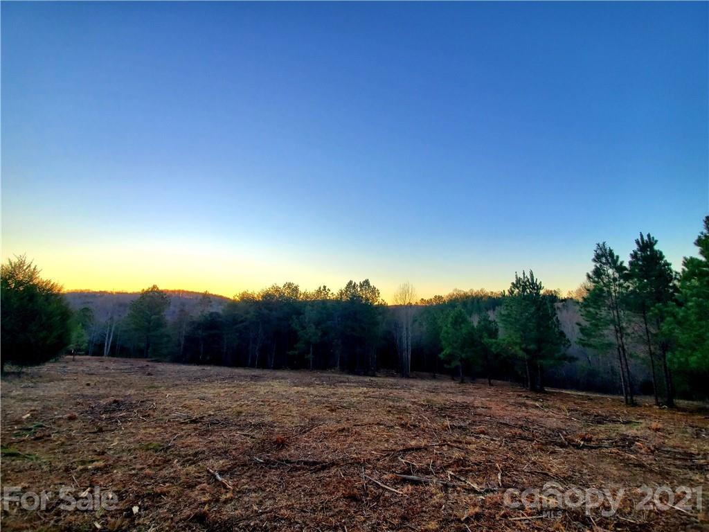 700 Will Green Road Tryon, NC 28782 - Photo 9 of 13 a view of a yard