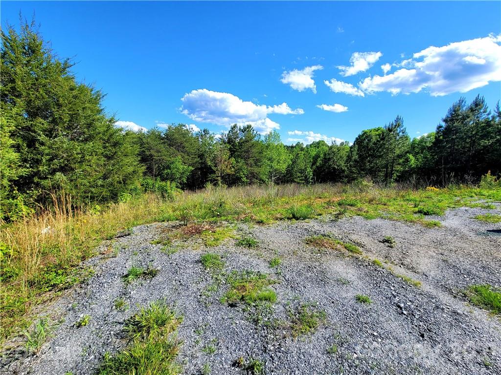 700 Will Green Road Tryon, NC 28782 - Photo 10 of 13 a view of a lake with a yard