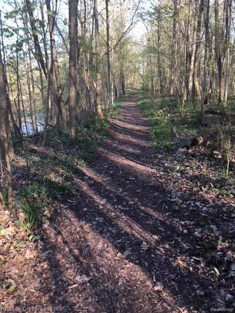 15487 Haggerty Road Belleville, MI 48111 - Photo 78 of 82 To the Park 2.jpg