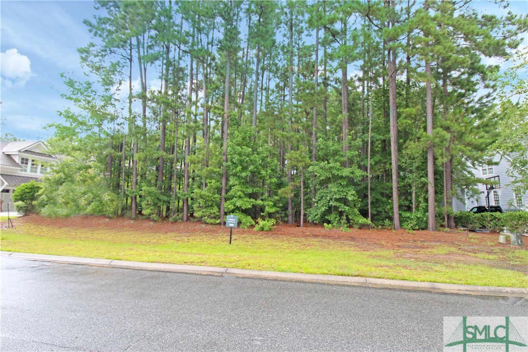 3 Tanners Row Pooler, GA 31322 - Photo 4 of 24