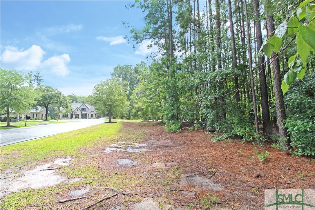 3 Tanners Row Pooler, GA 31322 - Photo 6 of 24