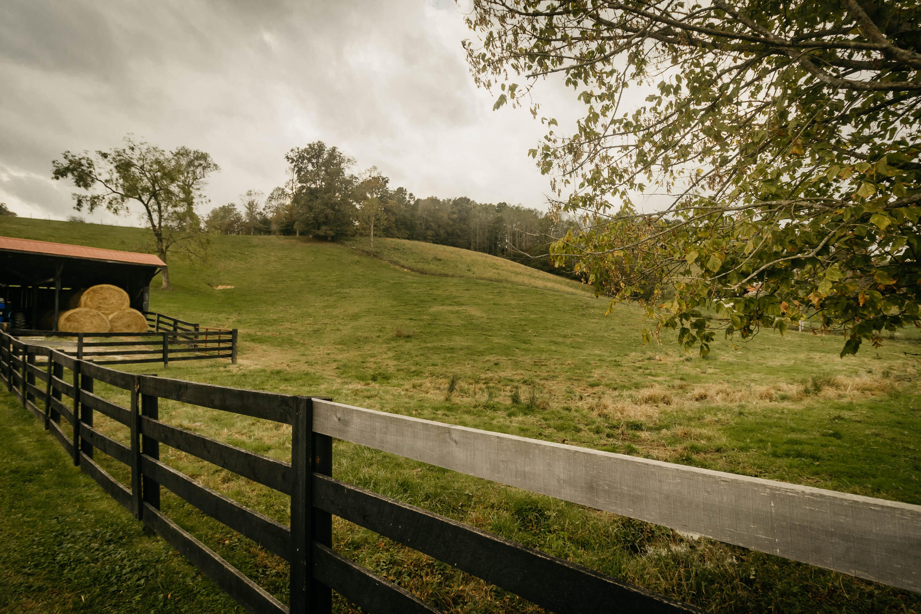 322 Clark Branch Road Campton, KY 41301 - Photo 48 of 63 KRPbw-8223