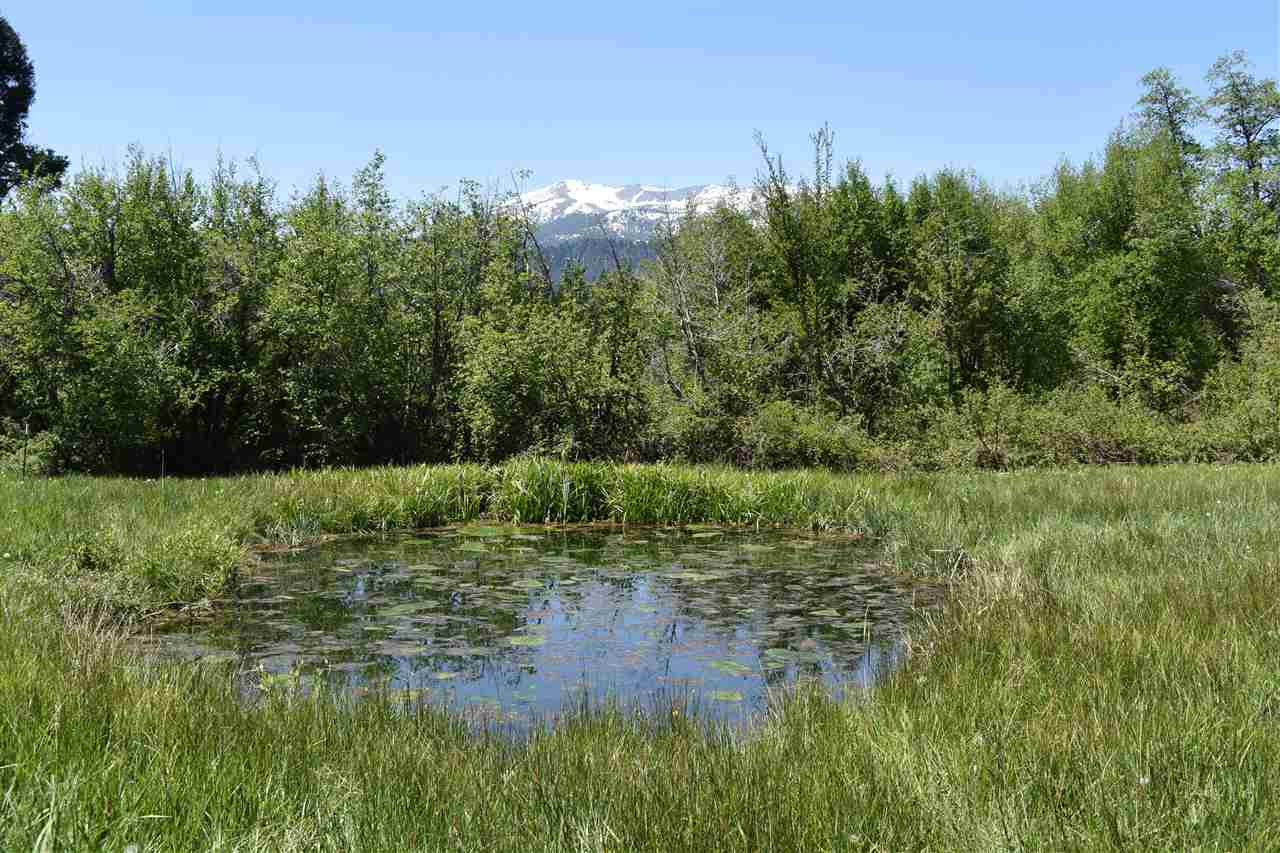 1101 Nixon Road Mount Shasta, CA 96067 - Photo 19 of 27 Gallery Image 19