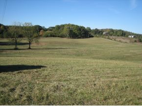 0 Rader Lane Greeneville, TN 37743 - Photo 4 of 6 Photo 4