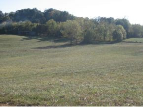 0 Rader Lane Greeneville, TN 37743 - Photo 6 of 6 Photo 6