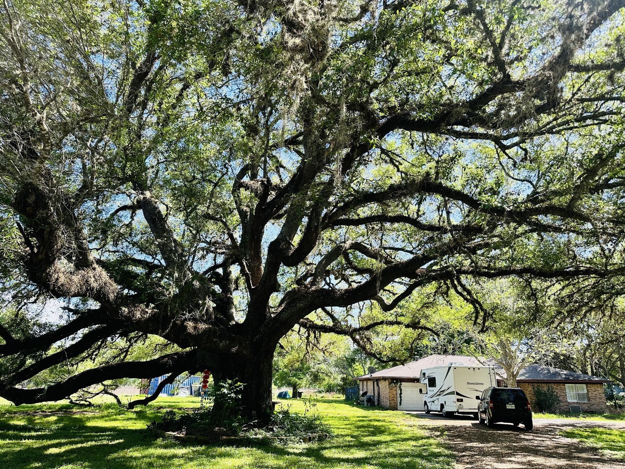 1819 Y. U. Jones Road Richmond, TX 77469 - Photo 2 of 20