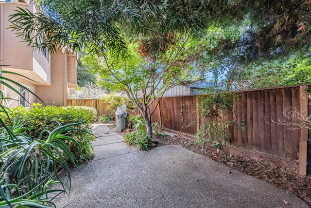 a view of a pathway with a garden