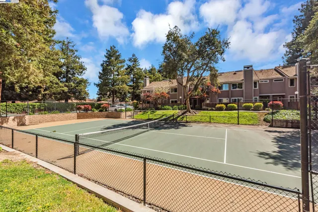 a view of a porch with plants and wooden fence