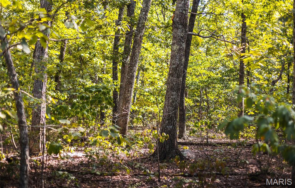 1 Buck Mountain Road Ironton, MO 63650 - Photo 12 of 12