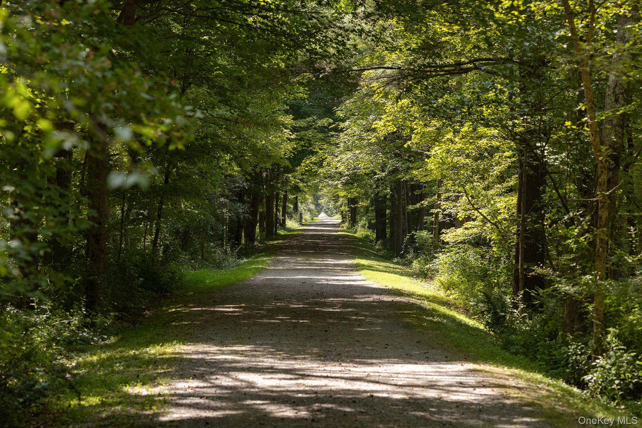 281 County Route 3 Ancramdale, NY 12503 - Photo 24 of 40 a view of a yard