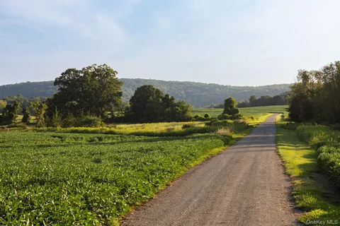 a view of a pathway both side of grassy field with shrub