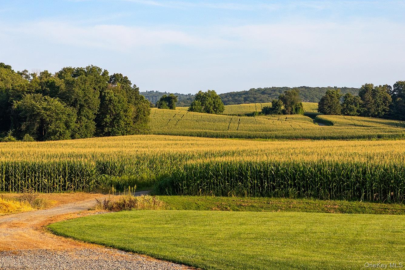 281 County Route 3 Ancramdale, NY 12503 - Photo 32 of 40 a view of a swimming pool with lake and houses in the back