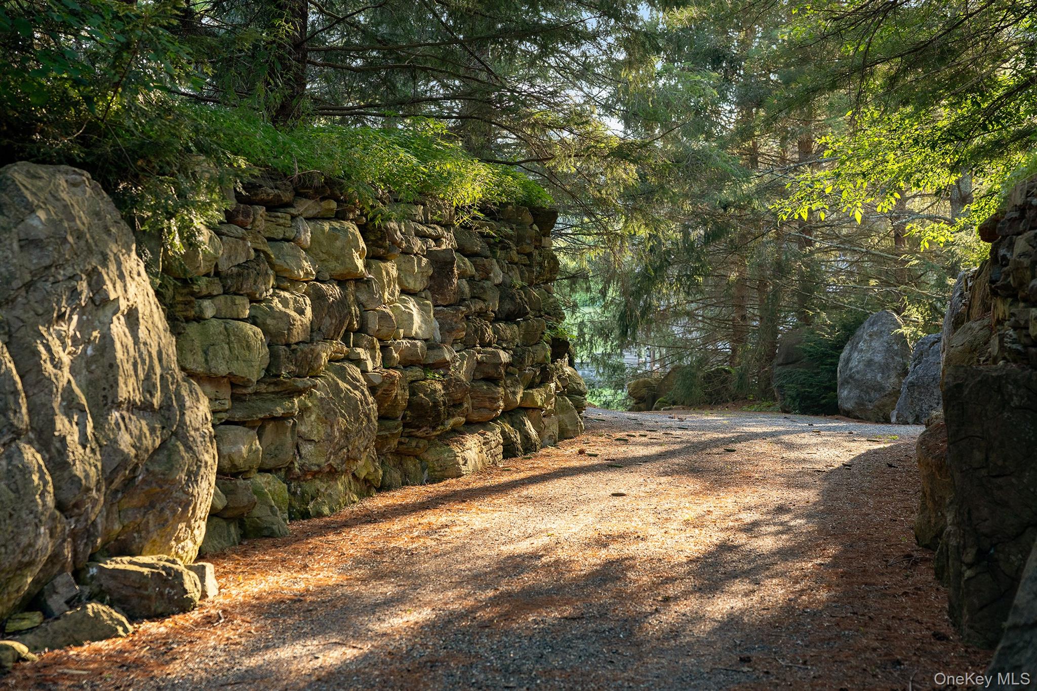 281 County Route 3 Ancramdale, NY 12503 - Photo 5 of 40 a view of a yard with plants and trees