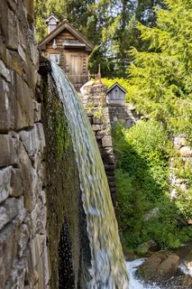 a view of a yard with plants