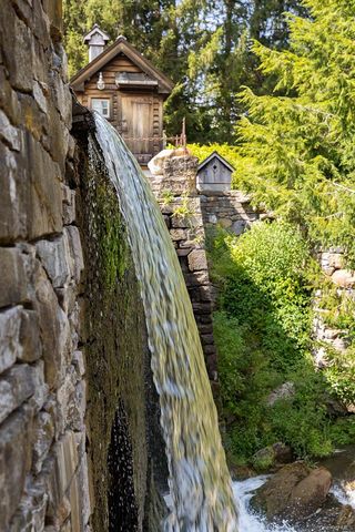 a view of a yard with plants