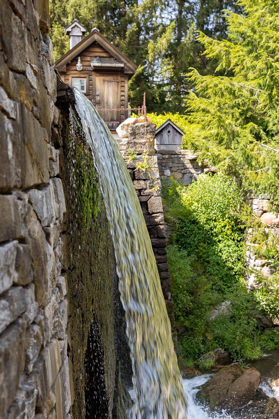 281 County Route 3 Ancramdale, NY 12503 - Photo 9 of 40 a view of a yard with plants