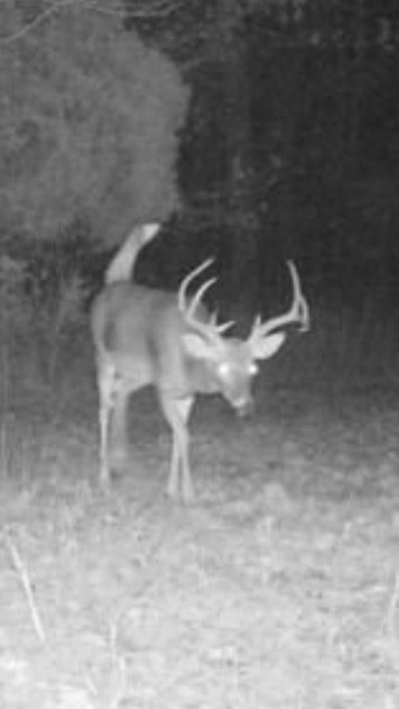 1161 Lone Star School Road Adel, GA 31620 - Photo 22 of 34 Gallery Image 22