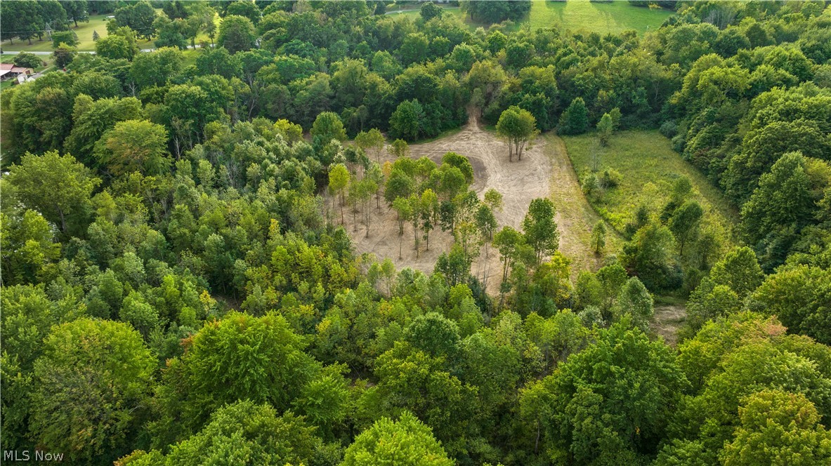 Whitman Road Doylestown, OH 44230 - Photo 5 of 16 Gallery Image 5