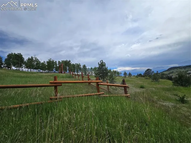 a view of park with river and trees in the background