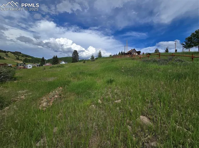 a view of yard with grass & street