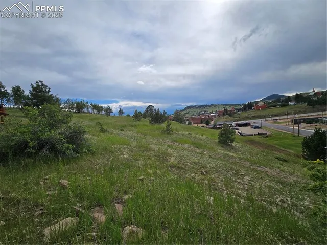 a view of a green field with lots of green space