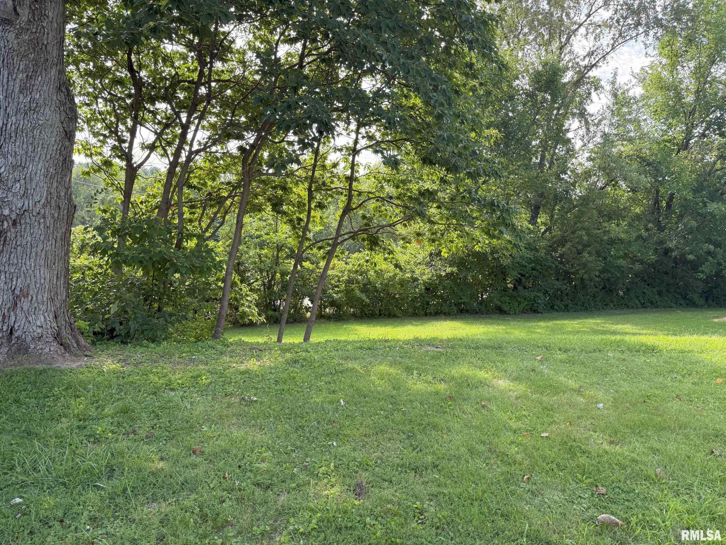 17 Lilac Lane Springfield, IL 62702 - Photo 14 of 14 Gallery Image 14